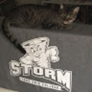 Meet your Posher, Cami